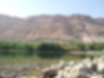 desert.jpg