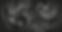 Black and white ⛓️🤍_edited_edited_edited.jpg
