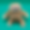 Thumbnail: Sloth Heat Pack