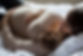 Femme enceinte