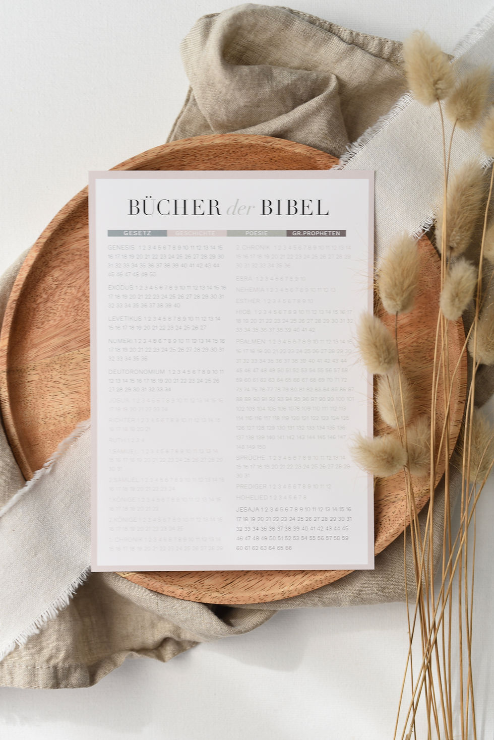 Miniaturbild: Bücher der Bibel