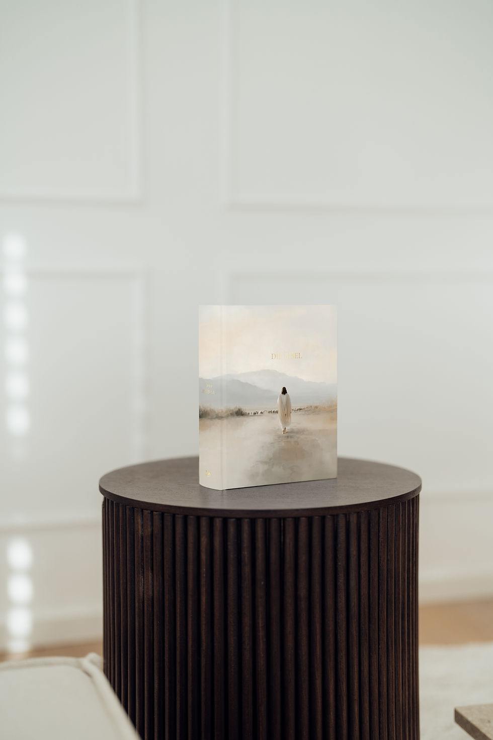 Schreibrandbibel Jesus Schlachter