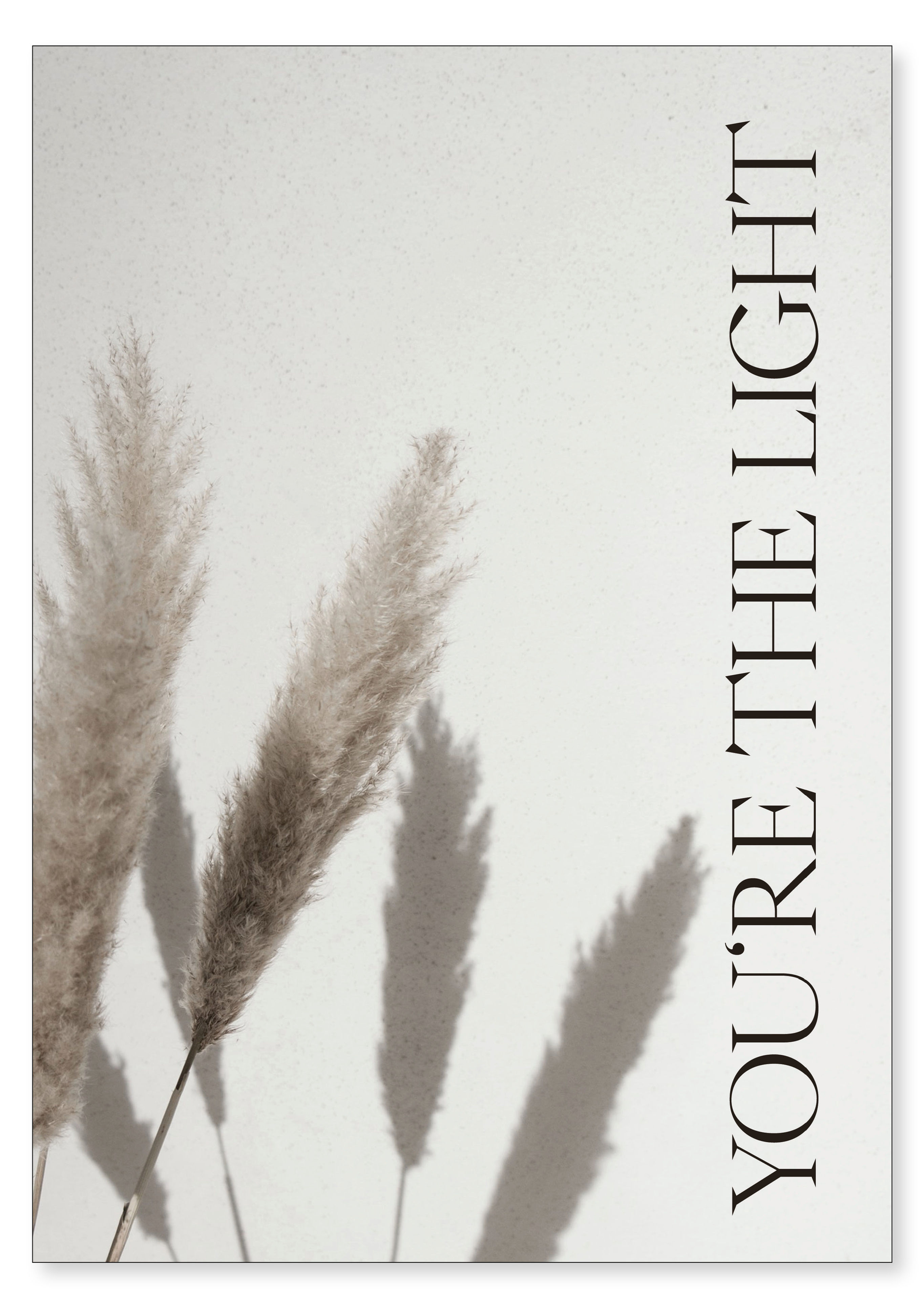 you're the light - A4