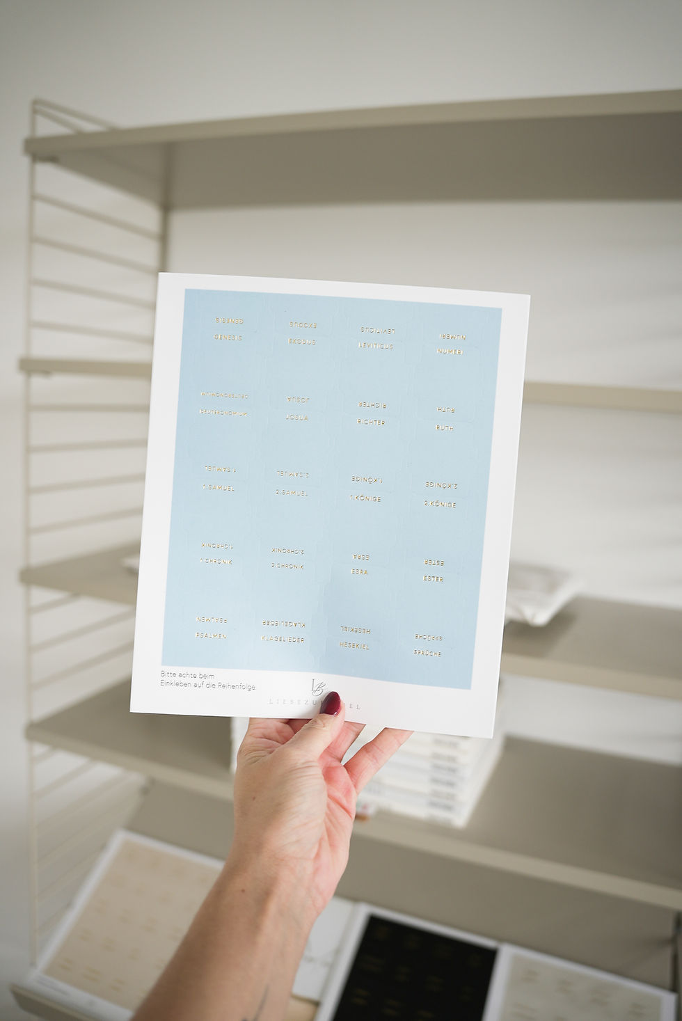 Miniaturbild: Bibelregister hellblau babyblau Bibeltabs