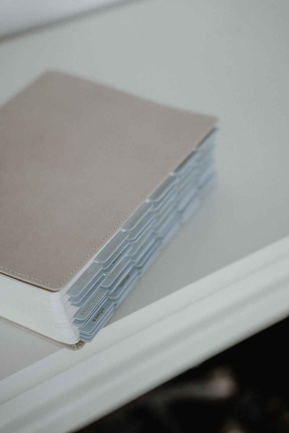 Bibelregister hellblau beige Bibel