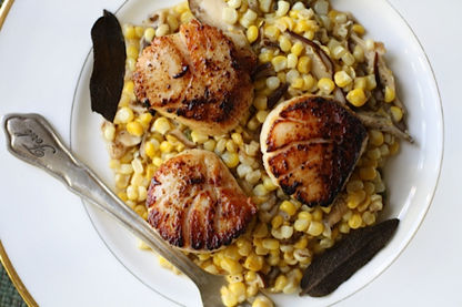 scallops by Rachel Reuben, Chopped winner private chef