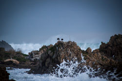Seatoun, Nueva Zelanda