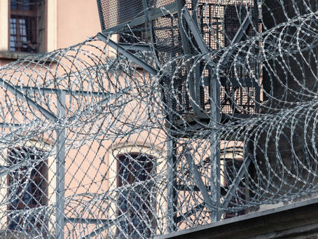 7. Incarceration as Specialization