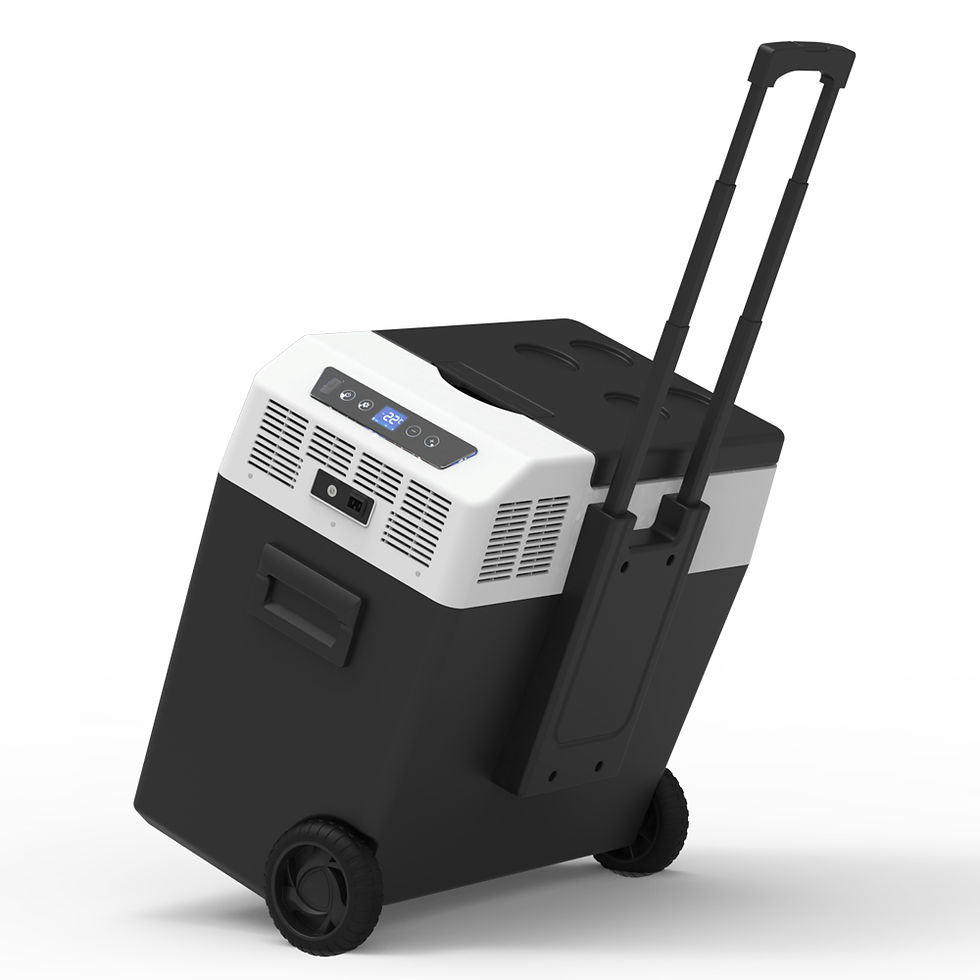 Thumbnail: FROZEN 50L Portable Refrigerator