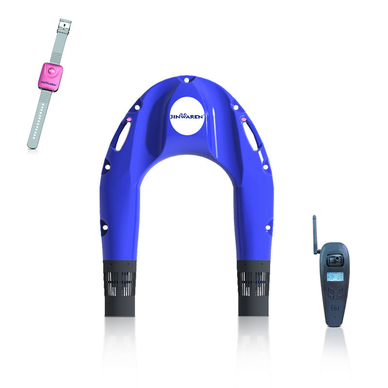 Thumbnail: Intelligent Lifebuoy with Remote Control
