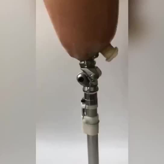 Thumbnail: Weight-Bearing Self-Locking Prosthetic Knee Joint