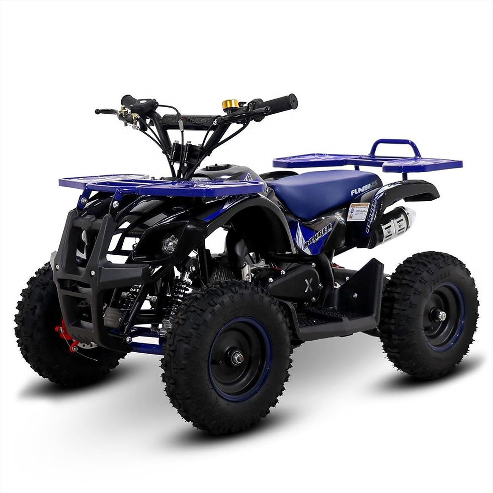Thumbnail: Tao Motor  2 stroke 49cc Mini Quad Quad ATV Bike