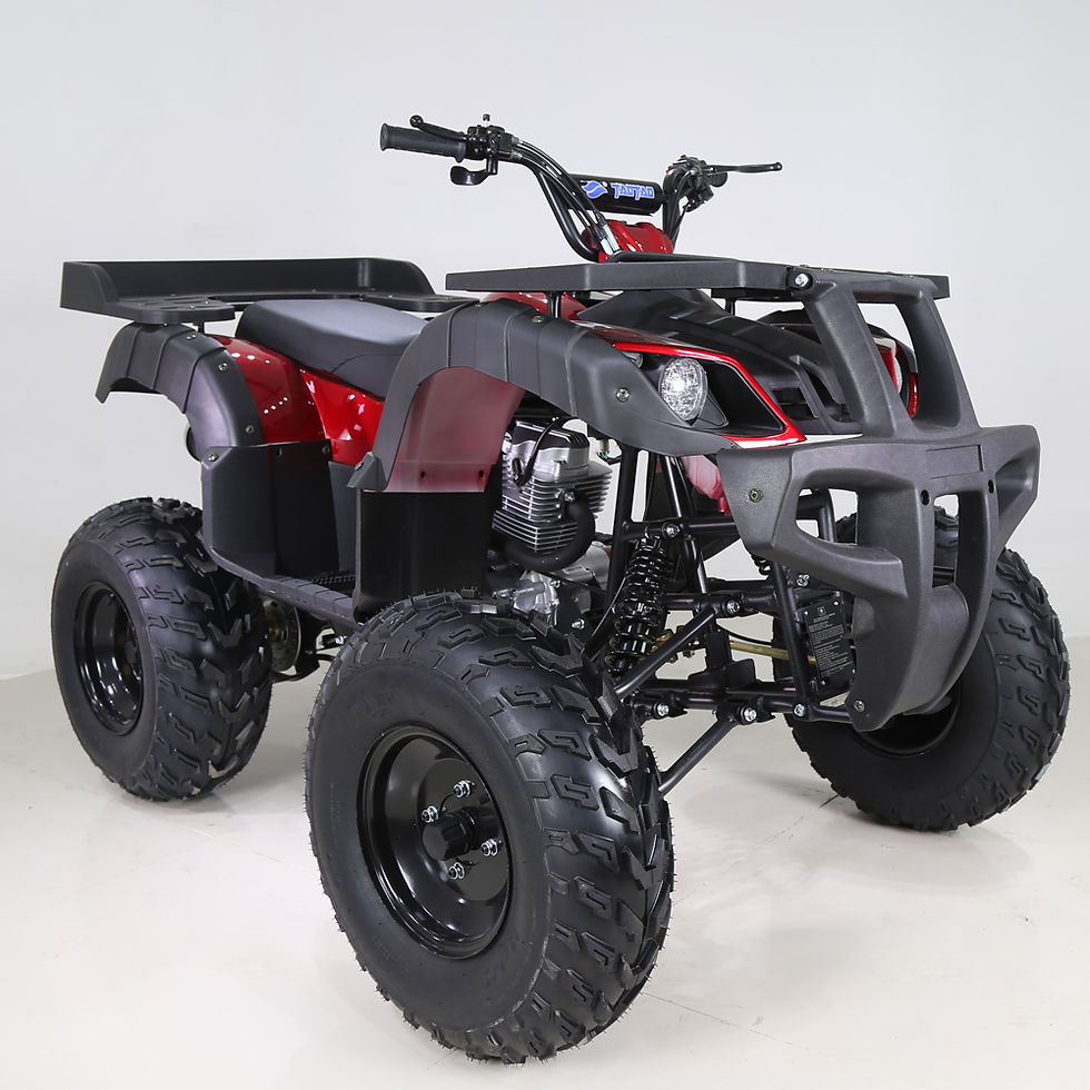 Thumbnail: Tao Motor ATA250-D 4x4 atv quad atv 250