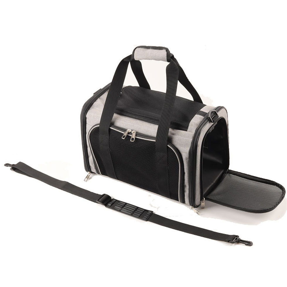 Thumbnail: []Portable Travel Carrier Bag