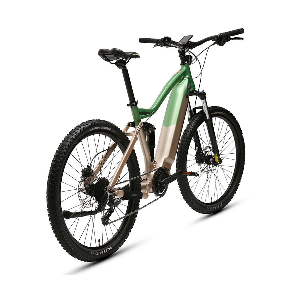 Thumbnail: Dual Battery E-Bike Belt Drive