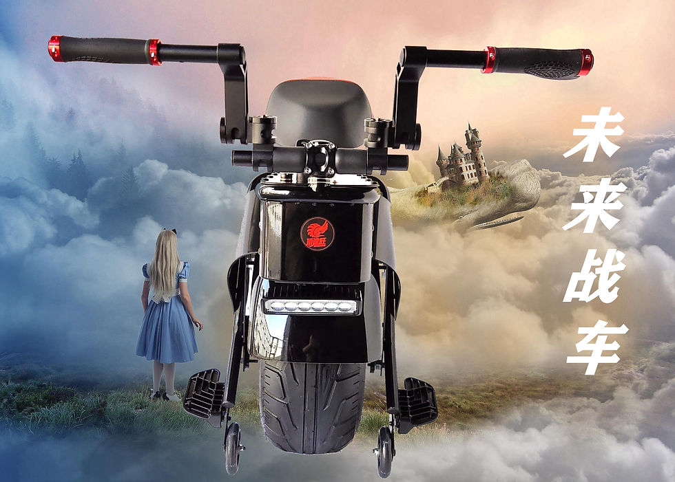 Thumbnail: 2021 New arrival 18inch fat one wheel self balancing electric unicycle scooter,