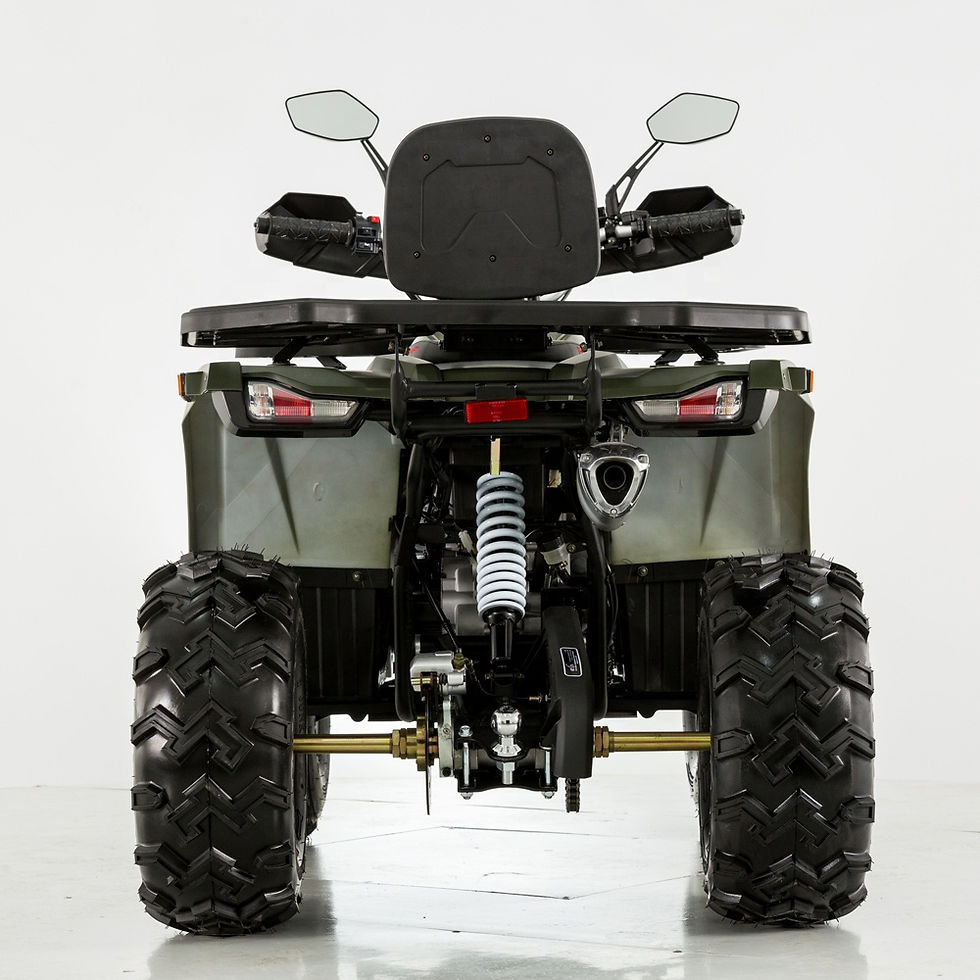 Thumbnail: Tao Motor  200cc Automatic ATV 4 wheeled motorcycle with EPA ECE