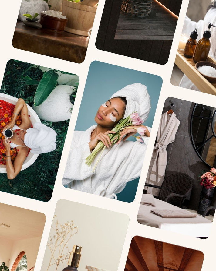 Images reflecting the branding for Maison Chyrsalis