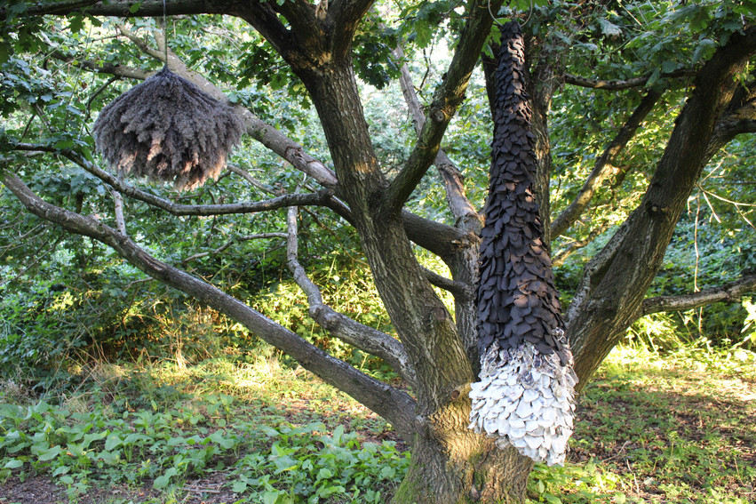 18. Stephanie Tudor - Insect Architectur