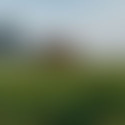 Alte Nikon Ai-S-Objektive in einer ziemlich tristen Landschaft testen?