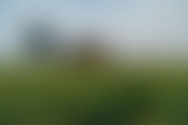 Alte Nikon Ai-S-Objektive in einer ziemlich tristen Landschaft testen?