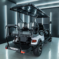 EVTitan-Spyder-6-Seater8.jpeg