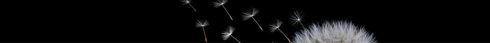 Linked in banner - no logo.png