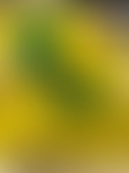 Boozy besties to sober sisters