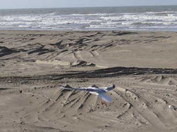Berck 7-8-9 nov 2014 087