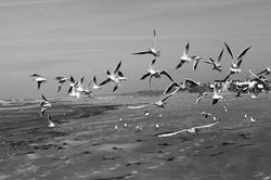 2014-11-08-IMG-00030015