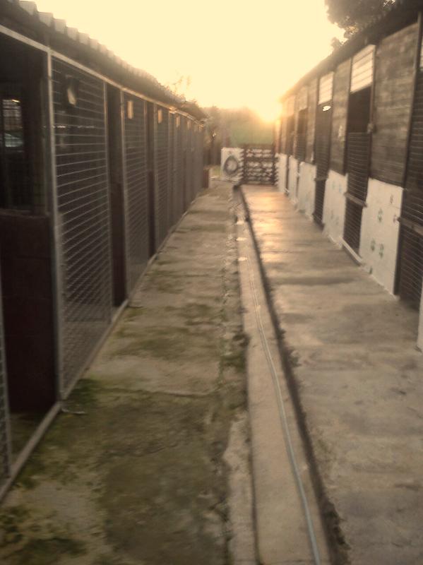 IMG-20141125-WA0010_edited.jpg