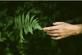 Sich mit der Natur verbinden heisst sich tief mit sich selbst verbinden