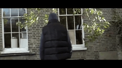 Animated GIF-downsized_large.gif