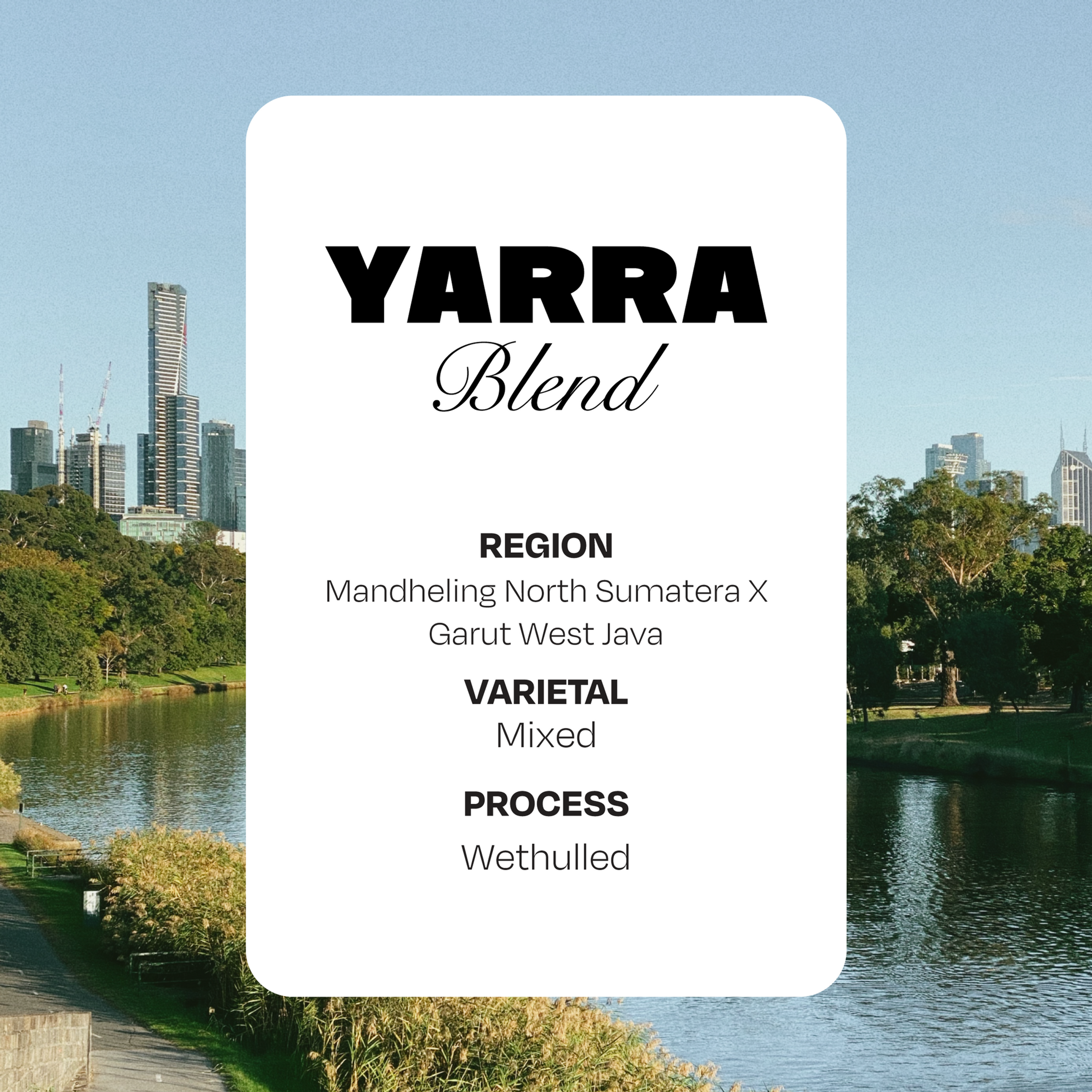 Yarra Blend (Espresso)