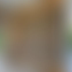 Elevating Luxury: The Impact of High-End Finish Carpentry