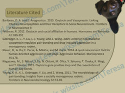 Slide17