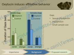 Slide09