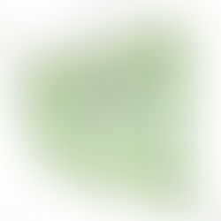 Paragraph 80 Residence