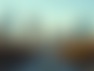 Finding the Best Spanish Language Translation Company in Texas for Your Document Needs