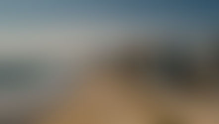 The Top 5 Languages Spoken in Virginia Beach