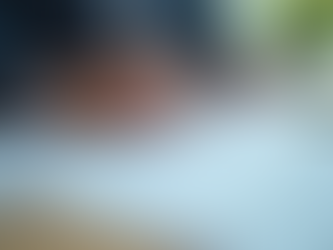 Choosing the Right Polish Translation Agency in Chicago for Your Document Needs