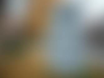 The Most Essential Languages for Translation in Virginia