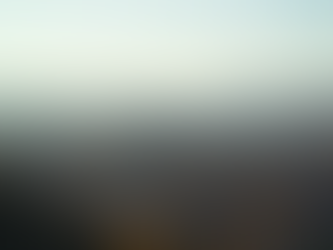 The Top 5 Languages Spoken in Boise Idaho and Why They Matter