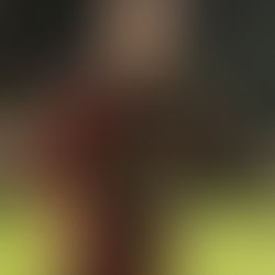 Vitória vence o Internacional e deixa a zona de rebaixamento no Brasileirão