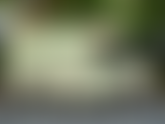 Innovative Mobile Vet Clinic: Pet-Centric Care in Portland