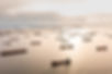 AdobeStock_369051286.jpeg
