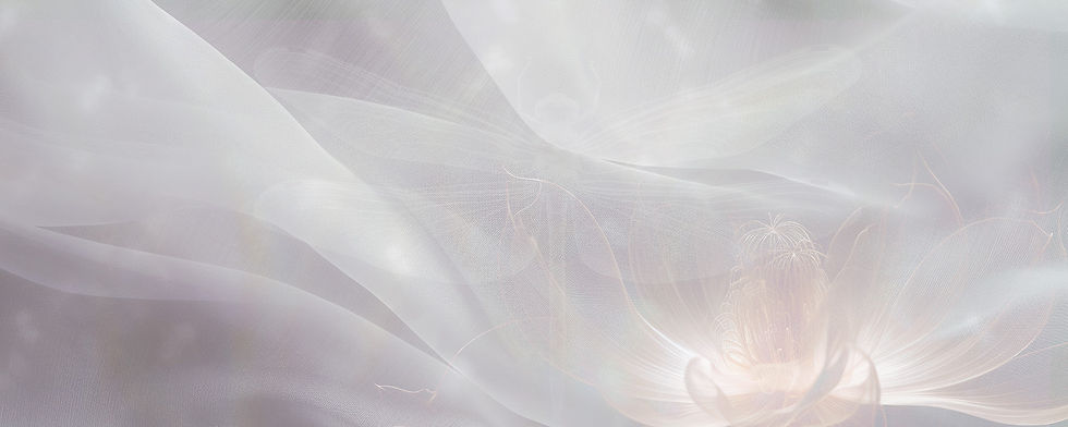 banner_test6.jpg