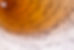 AdobeStock_231776909.jpeg