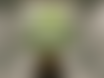 Umgang mit Stecklingen - Die 5 größten Fehler