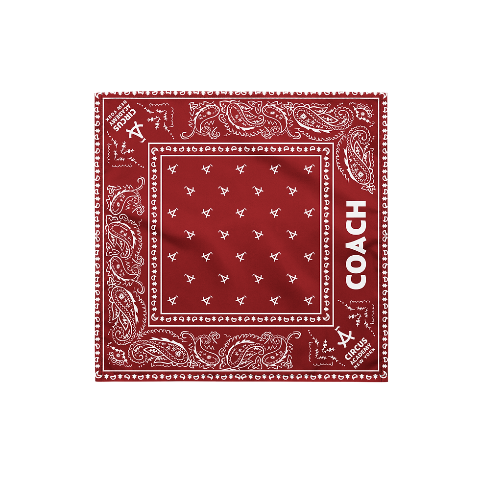 Thumbnail: COACH CANY Bandana